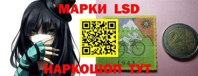 mdma Гатчина