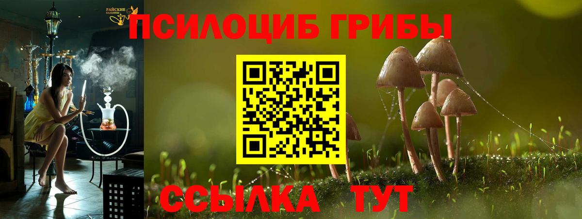 Псилоцибиновые грибы Psilocybine cubensis  Галлюциногенные грибы мицелий  Белорецк  Вход с VPN 